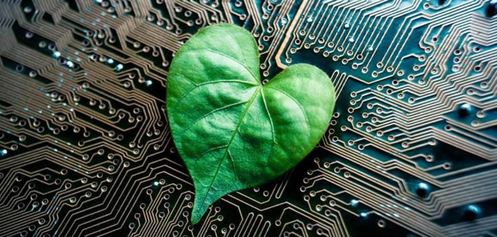 ti verde